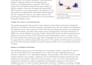 article writing and blog posts